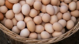 蛋白質吃多少才夠?